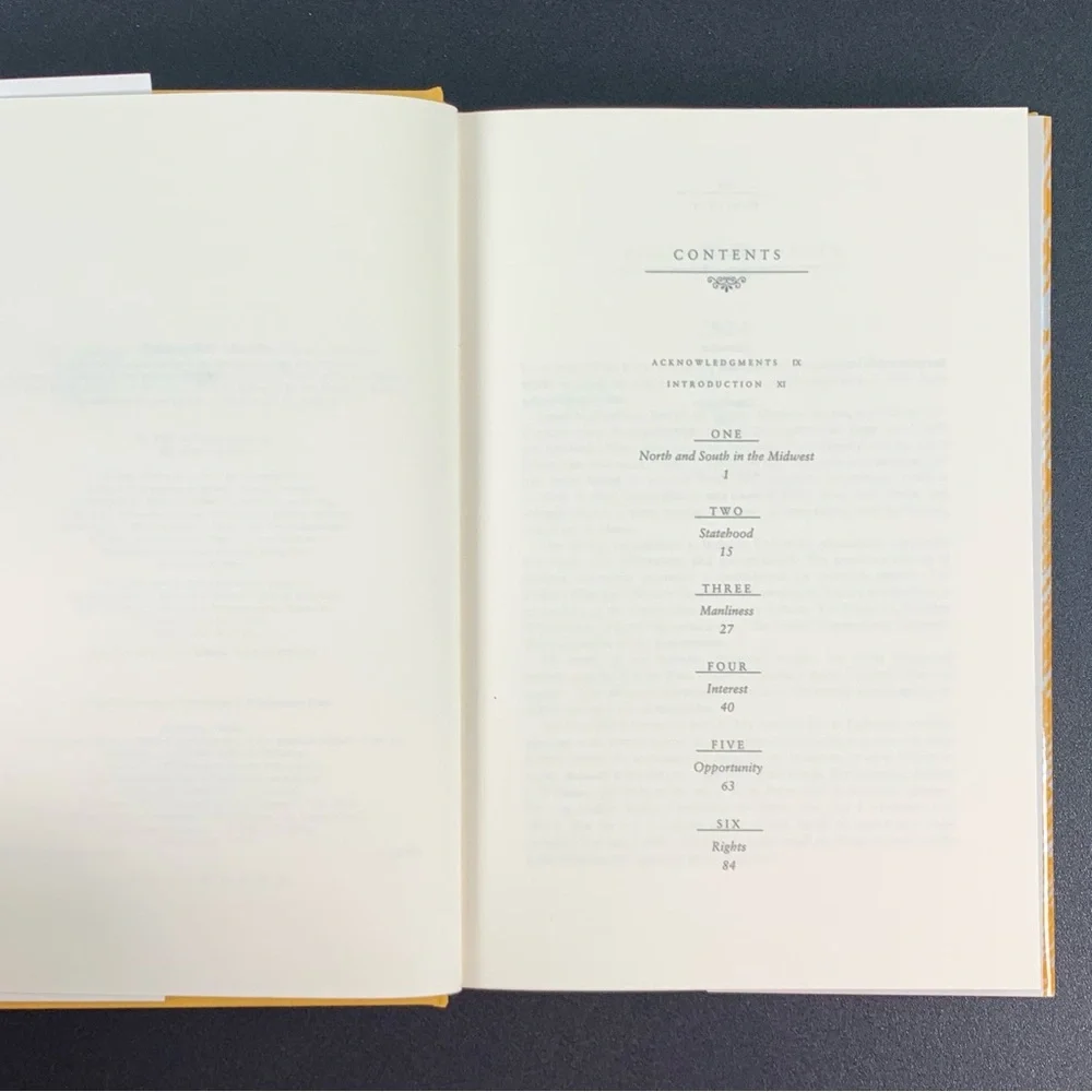 The Emerging Midwest by Nicole Etcheson. 1996.